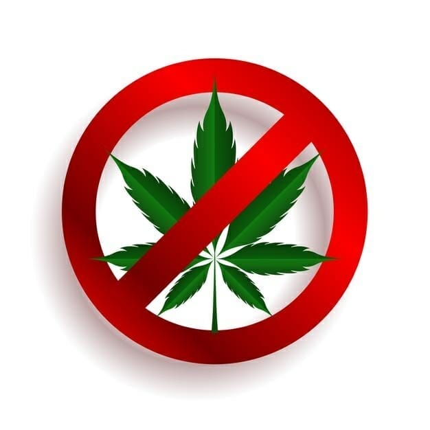 cannabis interdit