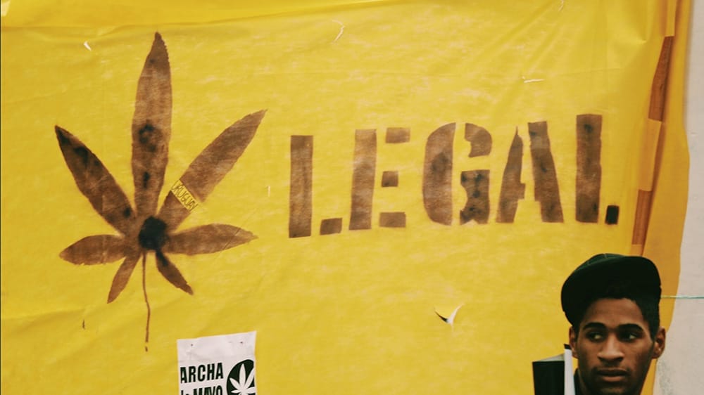 legalisation cannabis en france 2024
