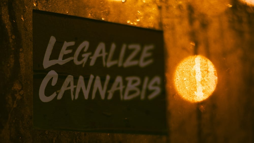 panneau legalisation cannabis