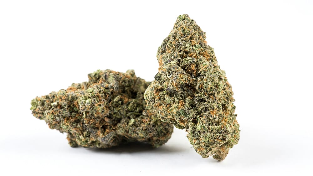 bud cannabis THCJD - 1