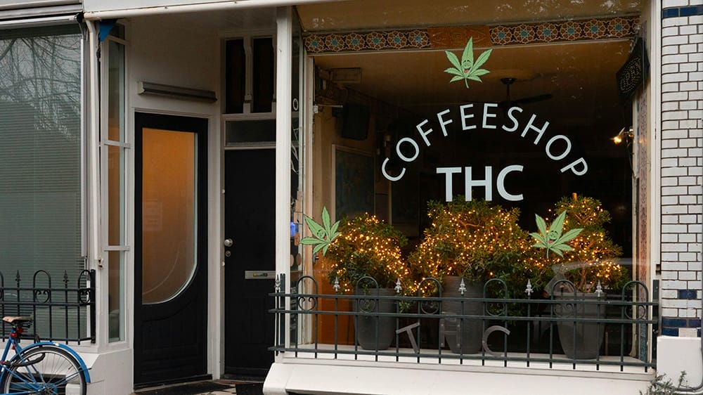 coffee shop thc legalisation cannabis allemagne